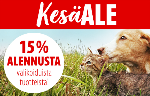 Jackrussellinterrieri - Koirarotuja | Zooplus Tietonurkka